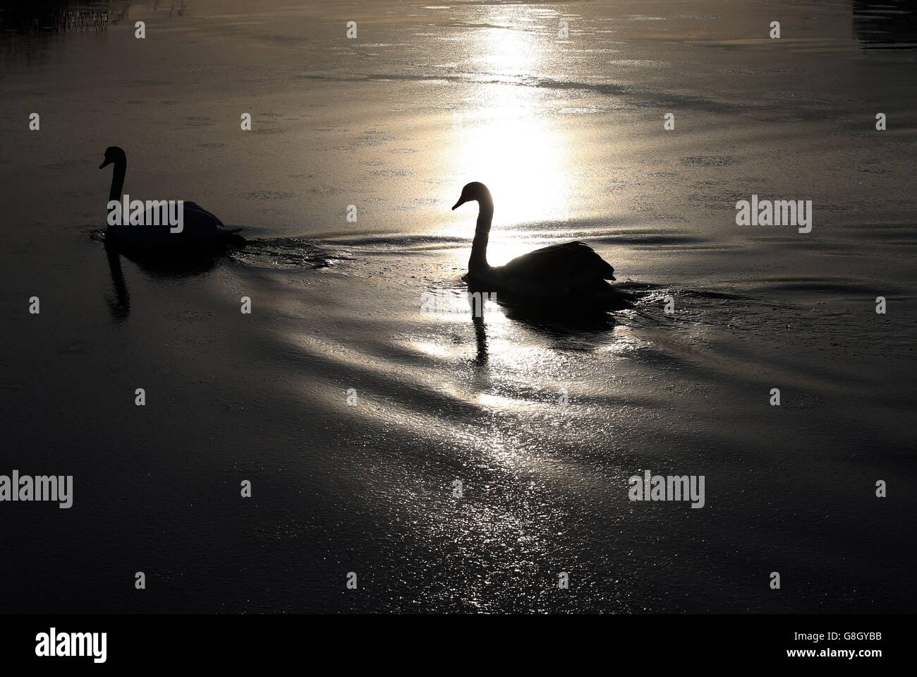 Météo Hiver 2015 13 déc. Banque D'Images