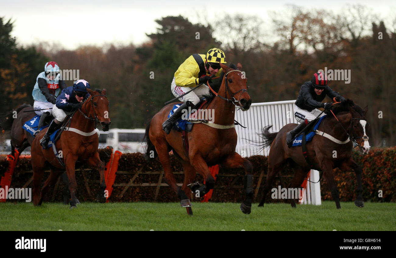 Label des Obeaux monté par Wayne Hutchinson sur leur chemin vers la victoire dans l'obstacle des novices de Neptune Investment Management pendant la première journée du festival de Noël de Tingle Creek à l'hippodrome de Sandown Park, Esher. APPUYEZ SUR ASSOCIATION photo. Date de la photo: Vendredi 4 décembre 2015. Voir l'histoire de PA, COURSE de Sandown. Le crédit photo devrait se lire comme suit : David Davies/PA Wire Banque D'Images