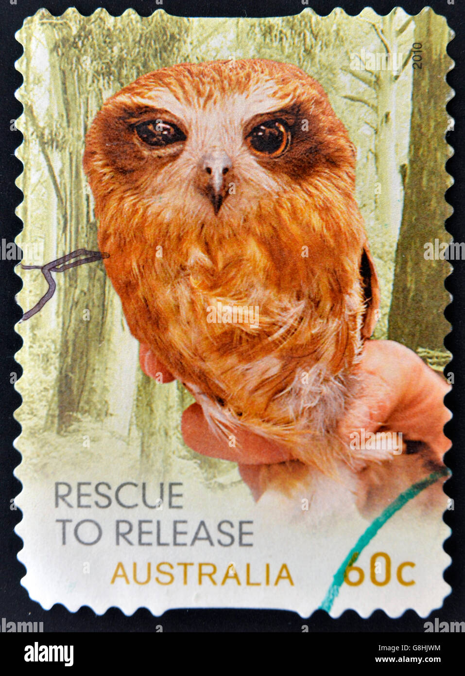 L'AUSTRALIE - circa 2010 : timbre imprimé en Australie montre owl rescue, vers 2010 Banque D'Images