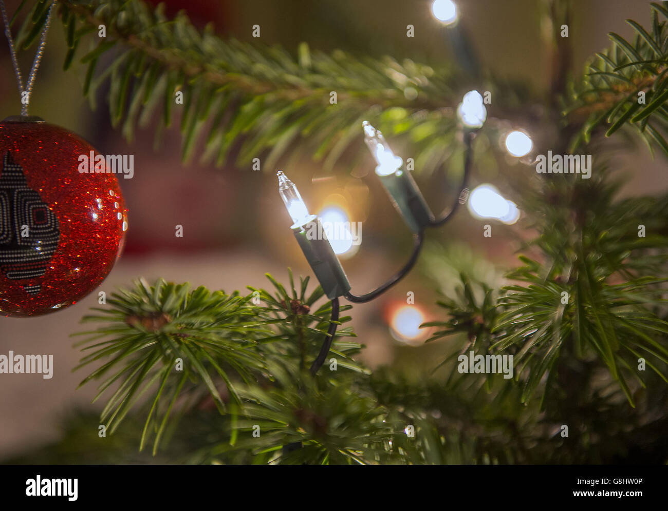 Charlotte Rose, âgée de 10 mois, regarde les boules et les vols de fées sur un arbre de Noël, London PRESS ASSOCIATION photo. Date de la photo: Dimanche 13 décembre 2015. Le crédit photo devrait se lire : Anthony Devlin/PA Wire Banque D'Images