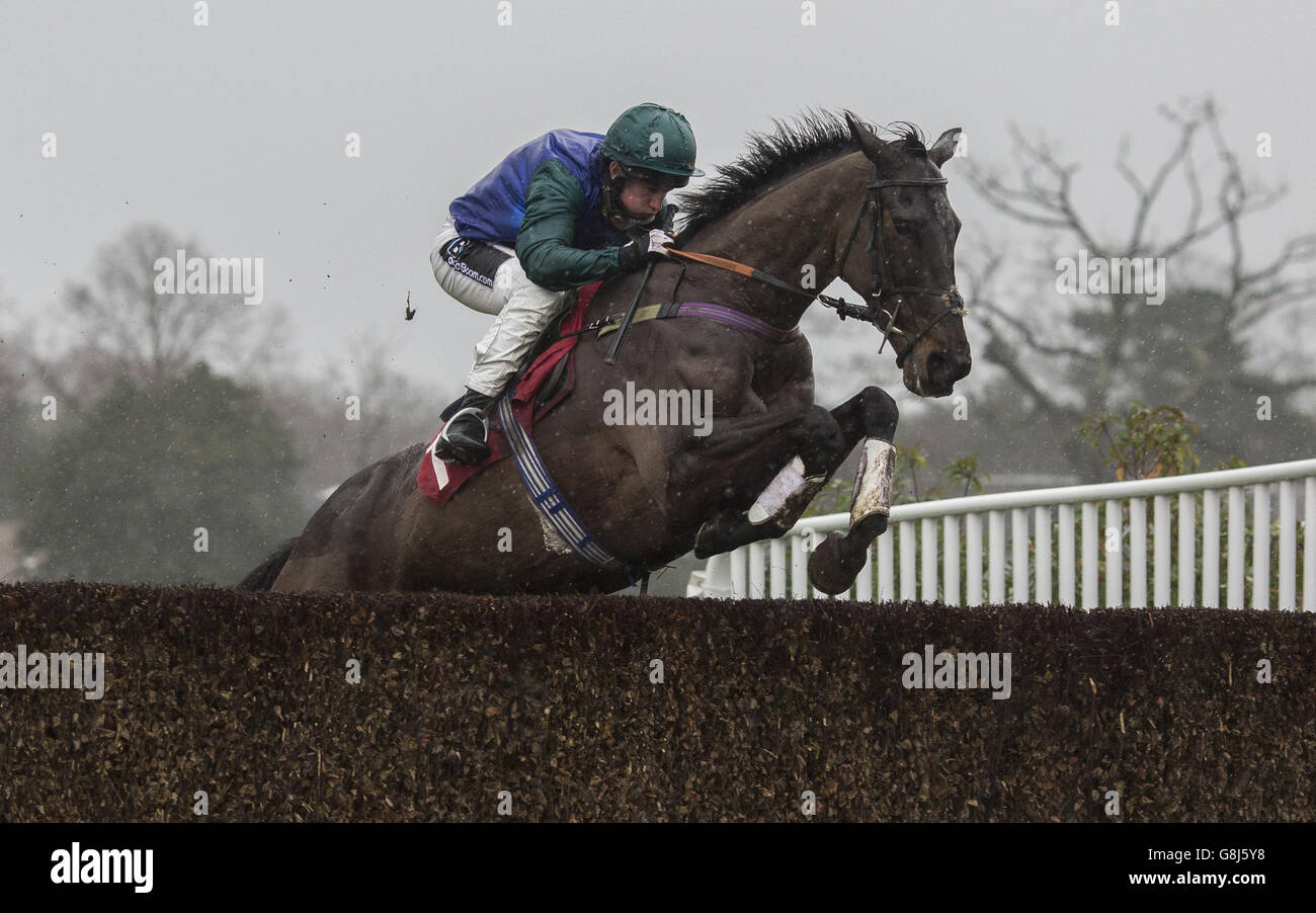 Bishops Road, criblée par Jamie Moore, se dégage de la dernière clôture avant de gagner la course 32Red handicap Steeple Chase lors de la 32Red Day à l'hippodrome de Sandown Park, Esher. Banque D'Images