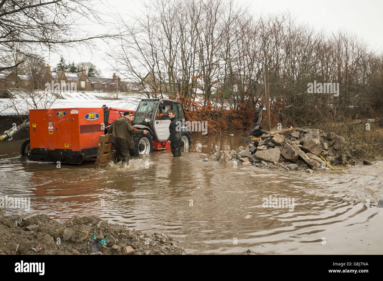 L'hiver le 8 jan 2016 Banque D'Images