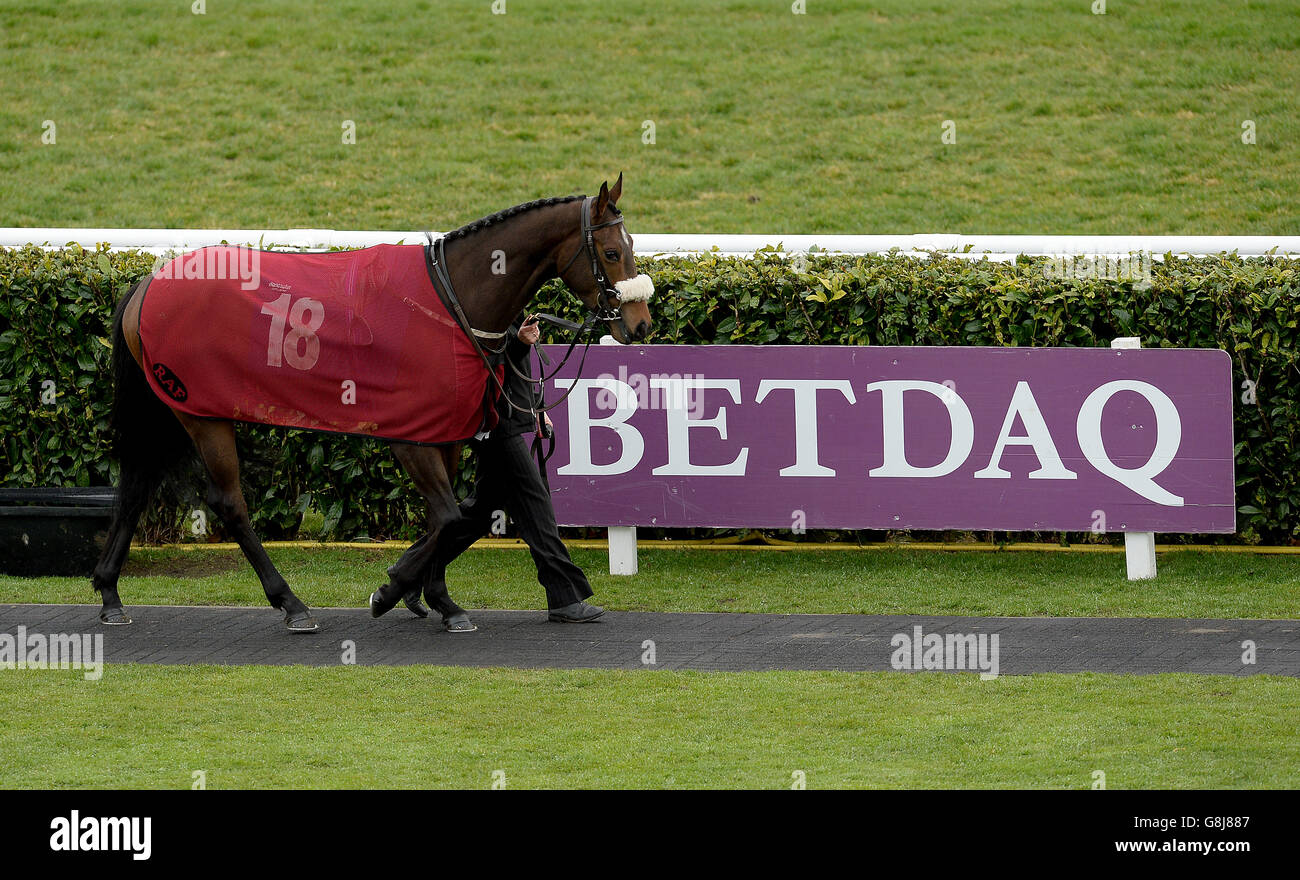 Courses hippiques - Lincoln Family Fun Day - Hippodrome de Doncaster.Royal Connoisseur ainsi que la marque et la signalisation Betdaq Banque D'Images