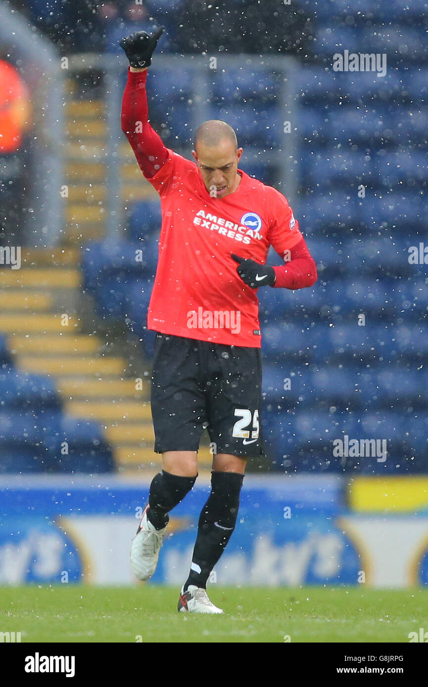 Bobby Zamora de Brighton et Hove Albion fête son premier but lors du match du championnat Sky Bet à Ewood Park, Blackburn. Banque D'Images