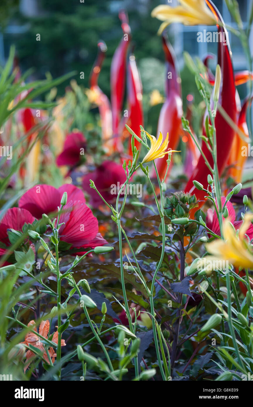 Des fleurs colorées et dynamiques des sculptures en verre illuminent le jardin botanique d'Atlanta au cours de la 'Chihuly dans le jardin" la pièce. Banque D'Images