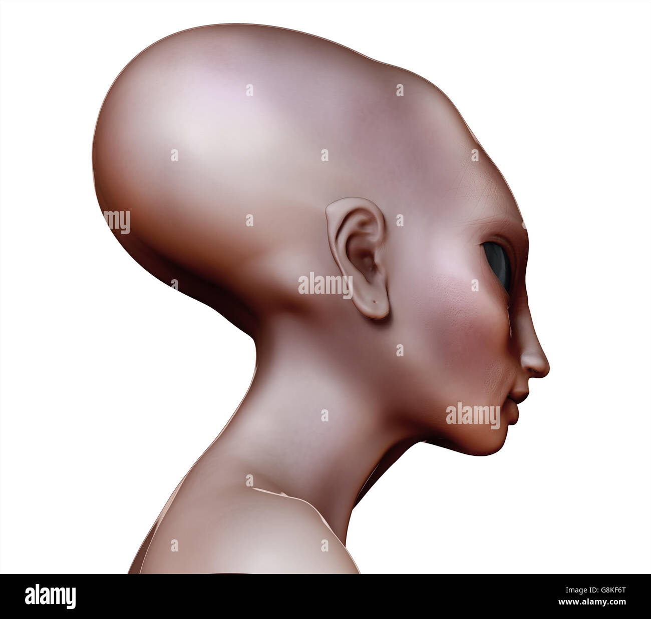 Alien Hybride Hybride femme femme étrangère vue latérale crâne allongé sur blanc. Banque D'Images