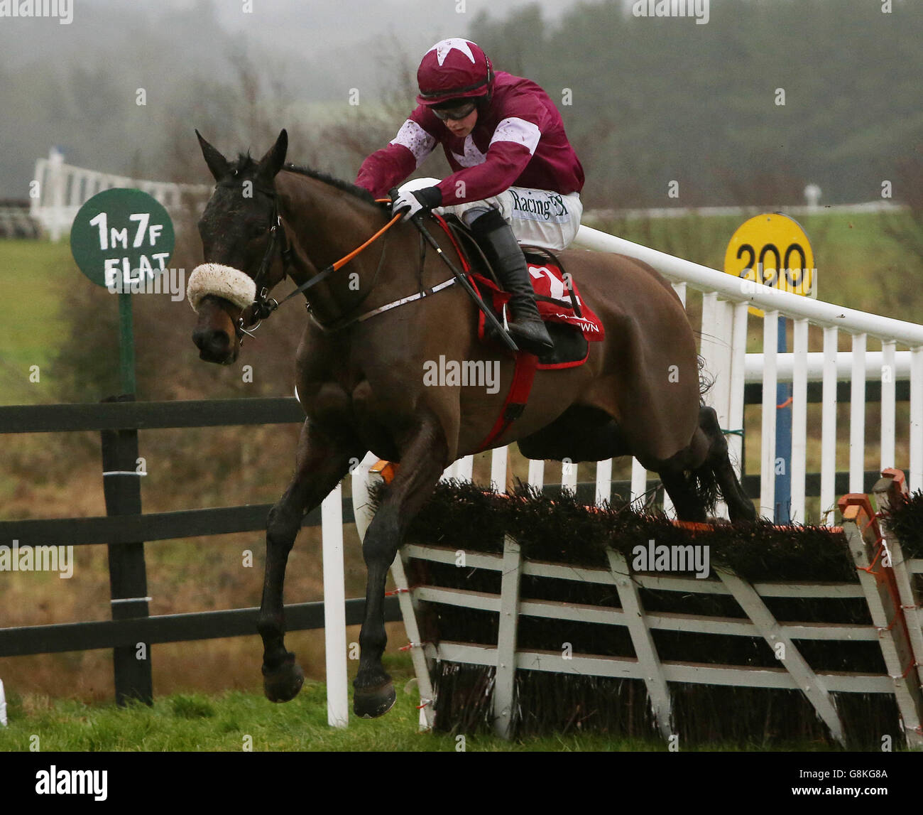 Ball d'Arc monté par Bryan Cooper remet en jeu le dernier sur la voie de gagner l'I.N.H.Propriétaires de stalion Fonds européen d'éleveurs de novice hailler pendant la Boylesports lié Cottage Chase Day au Punchestown Racecourse, comté de Kildare.APPUYEZ SUR ASSOCIATION photo.Date de la photo: Dimanche 31 janvier 2016.Voir PA Story RACING Punchestown.Le crédit photo devrait se lire comme suit : Brian Lawless/PA Wire. Banque D'Images