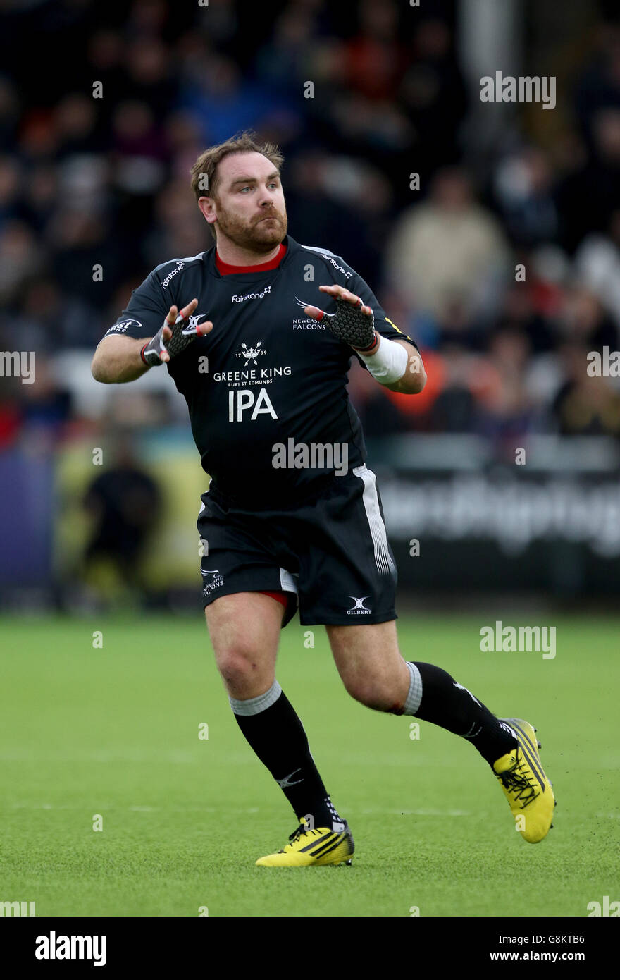 Newcastle Falcons Andy Goode lors du match Aviva Premiership à Kingston Park, Newcastle. Banque D'Images