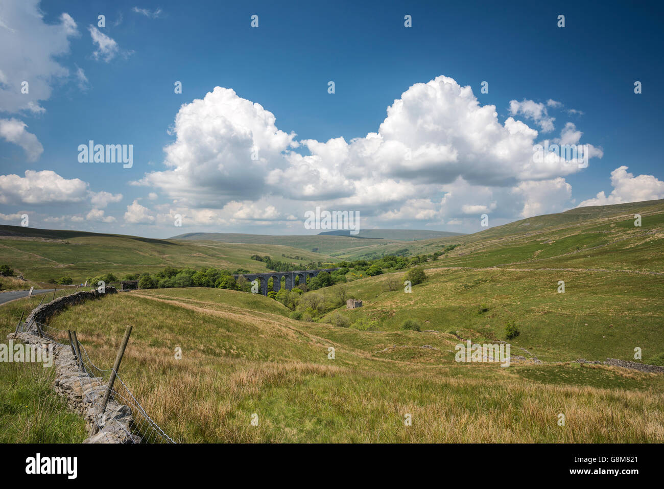 Tête de dent dans le viaduc ouest rural Riding of Yorkshire Banque D'Images