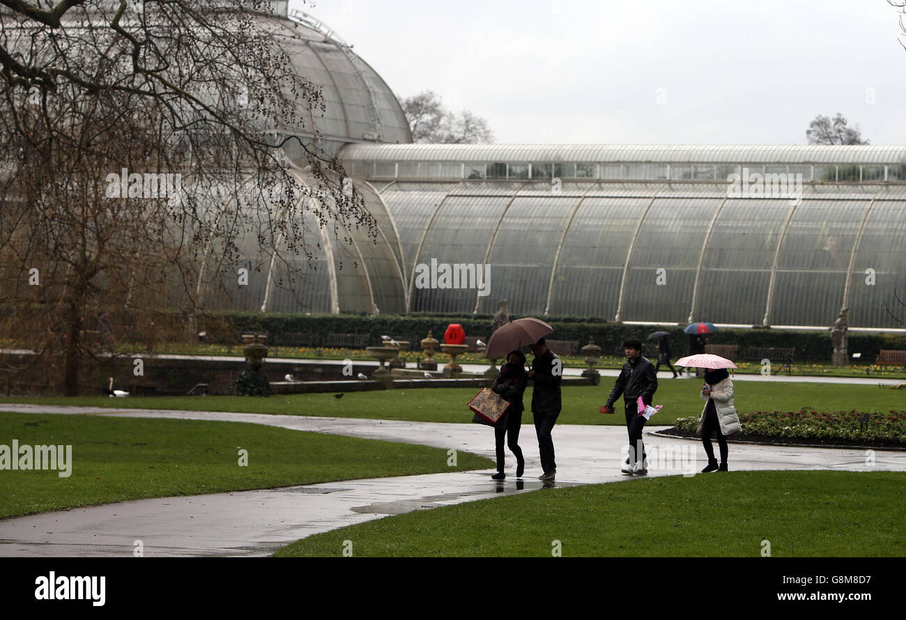 Les visiteurs s'abris de la pluie sous des parasols, alors qu'ils marchent dans les jardins de Kew à Londres. Banque D'Images