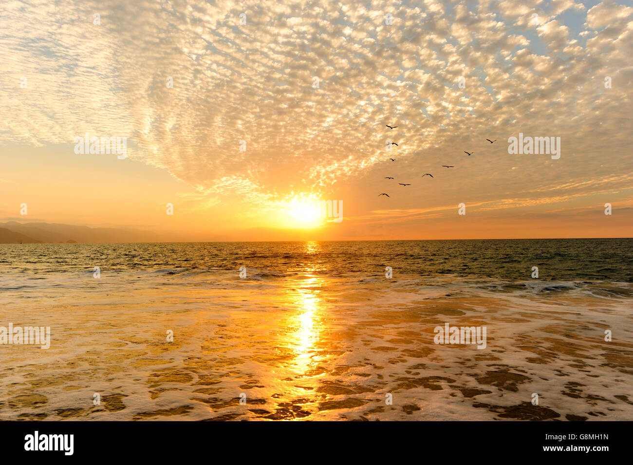 Coucher du soleil de l'océan est de cinq oiseaux oiseaux volant qui se profile vers la lumière du soleil couchant. Banque D'Images