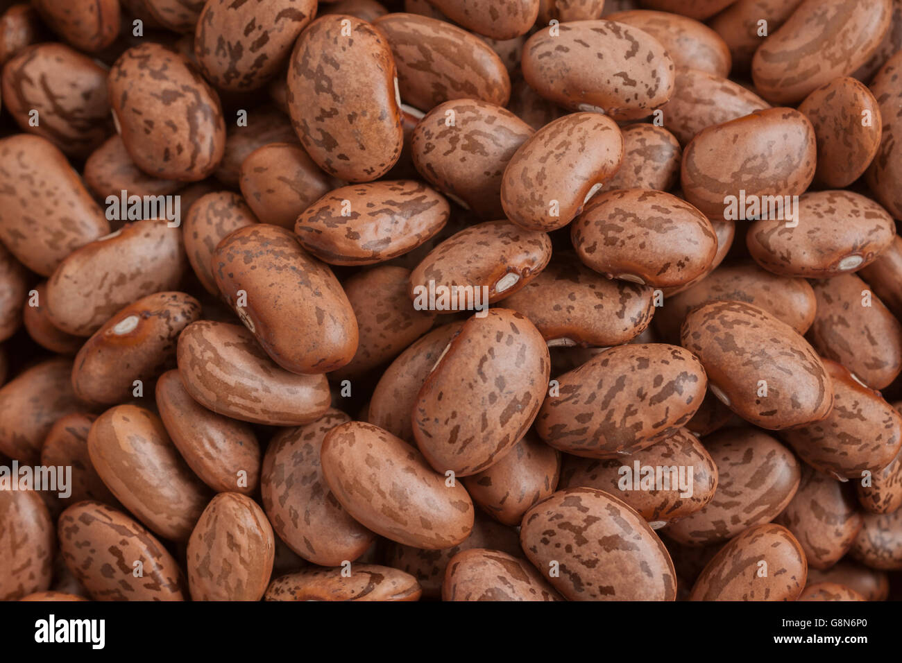 Les Haricots Pinto Un Bean Dans Le États-Unis Et Le Nord-Ouest Du Mexique  Et De L'utilisé Dans Les Haricots Frits Photo Stock - Alamy