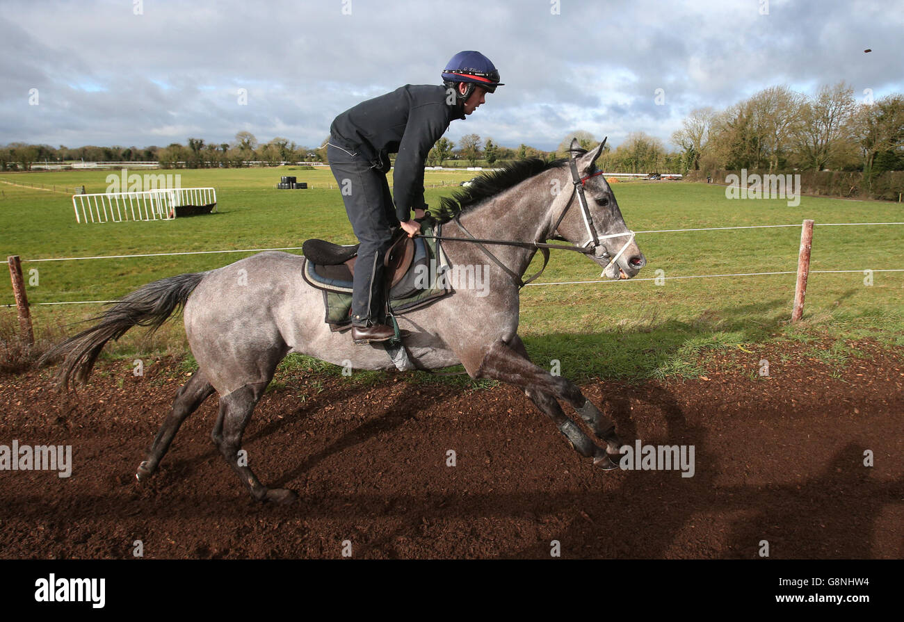 Fagan sur les galops lors d'une visite des écuries de Gordon Elliott à la maison de Cullentra, Longwood, Irlande. Banque D'Images