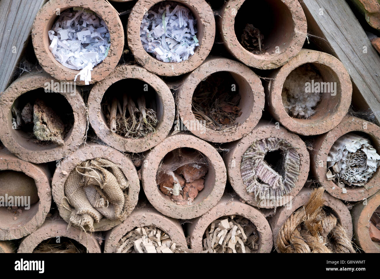 Hôtel offrant des lieux de nidification d'insectes dans les tuyaux d'argile Banque D'Images