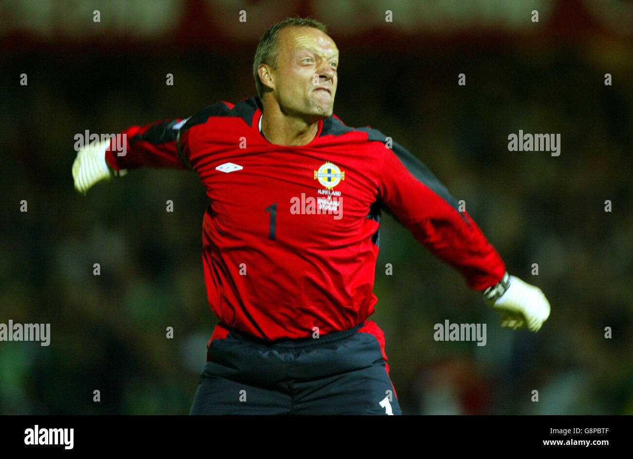 Football - Coupe du Monde 2006 - Groupe 6 - Qualificatif d'Irlande v Angleterre - Windsor Park Banque D'Images