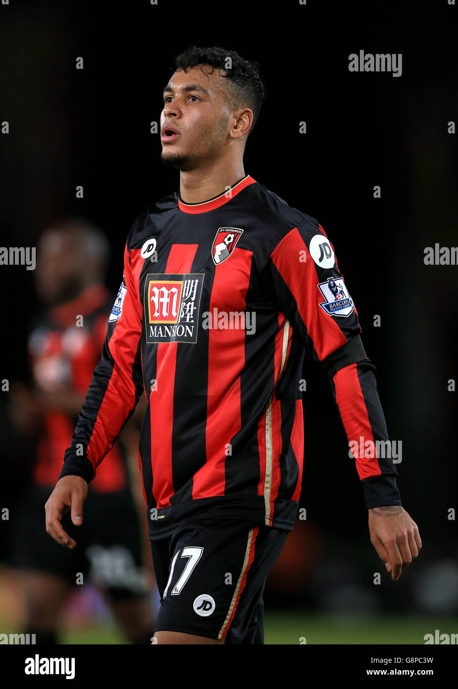 AFC Bournemouth v Southampton - Barclays Premier League - Vitalité Stadium Banque D'Images