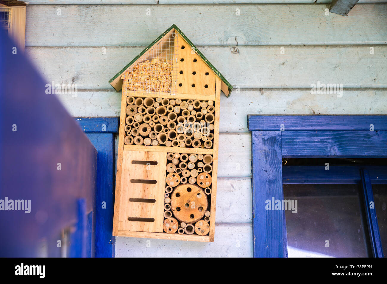 Lacewig en bois maison à abeilles Banque D'Images