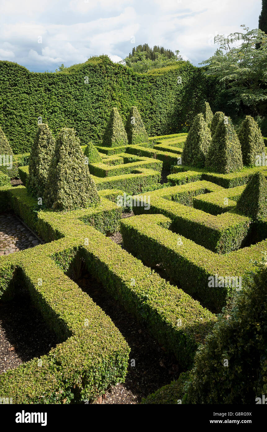 Labyrinthe géométrique composé glissé fort heding dans un pays jardin Banque D'Images