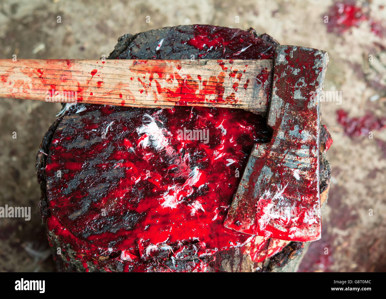 Un Bloody axe close up Banque D'Images