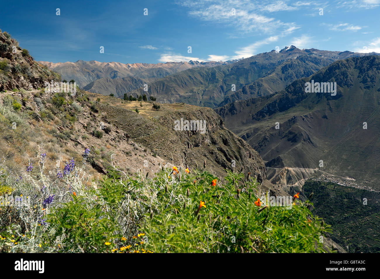 Sur la montagne de sentier près de la Croix du Condor donnent sur, Canyon de Colca, Arequipa, Pérou Banque D'Images