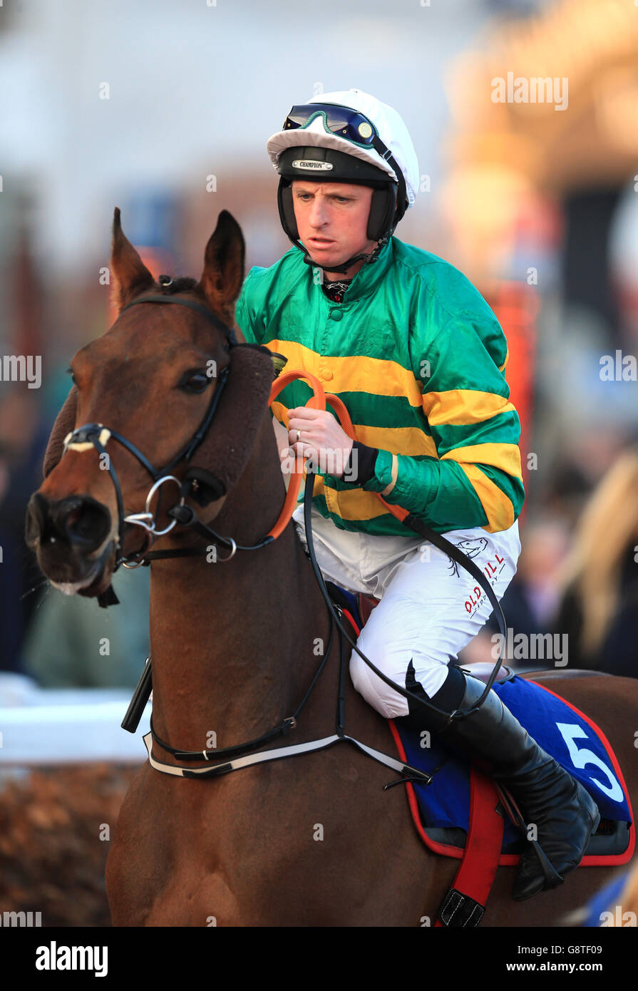 2016 Cheltenham Festival - St Patrick's Thursday - Cheltenham Racecourse.Jockey Jamie Codd sur cause des causes avant le Fulke Walwyn Kim Muir Challenge Cup handicap Chase Banque D'Images