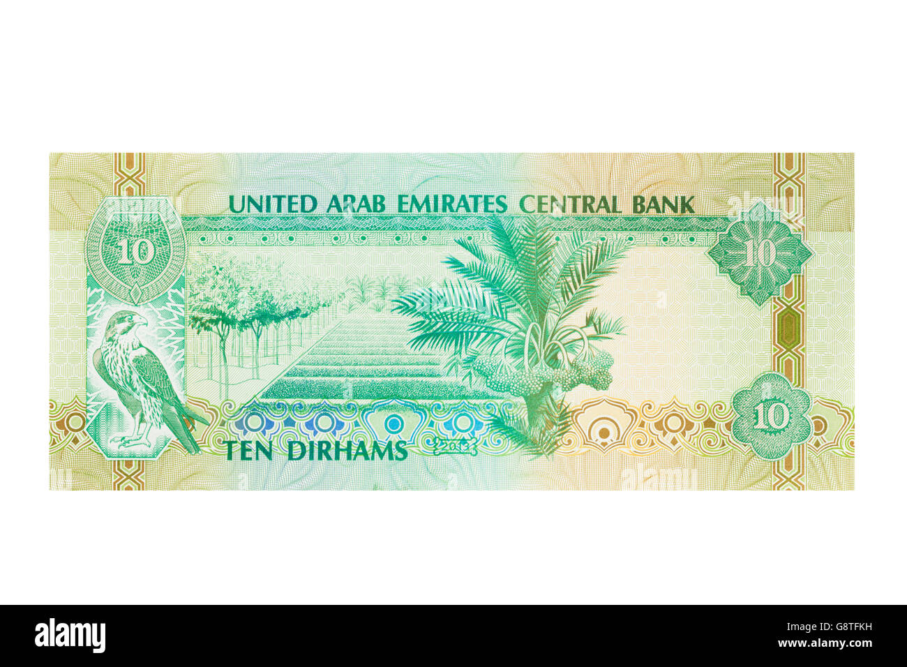 Émirats arabes unis Émirats arabes unis dix dirhams note sur un fond blanc Banque D'Images