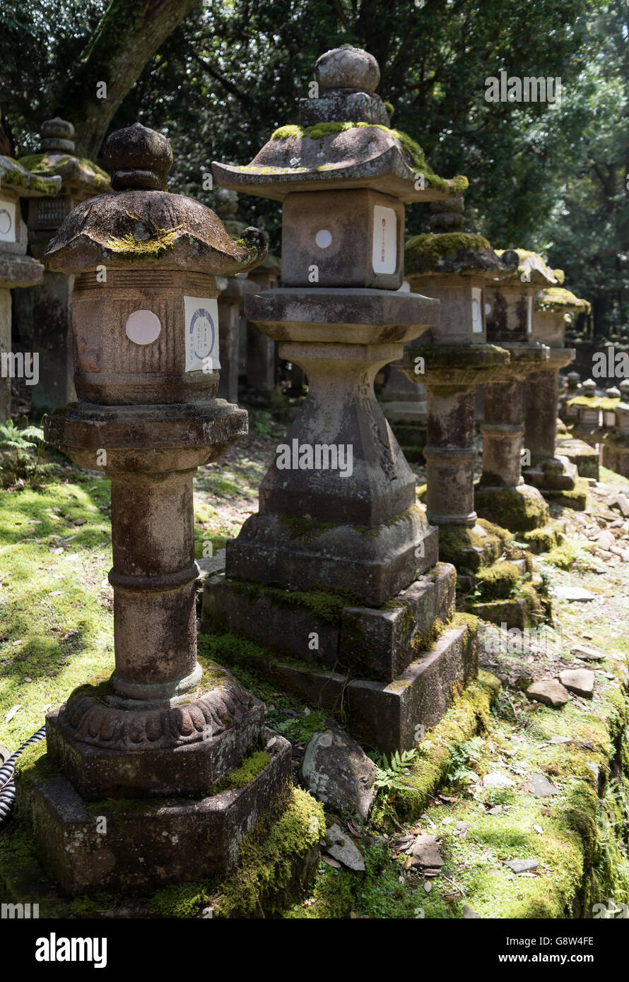 Toro (lanternes en pierre) sur la voie de Kasuga Taisha Temple de Nara, Japon Banque D'Images