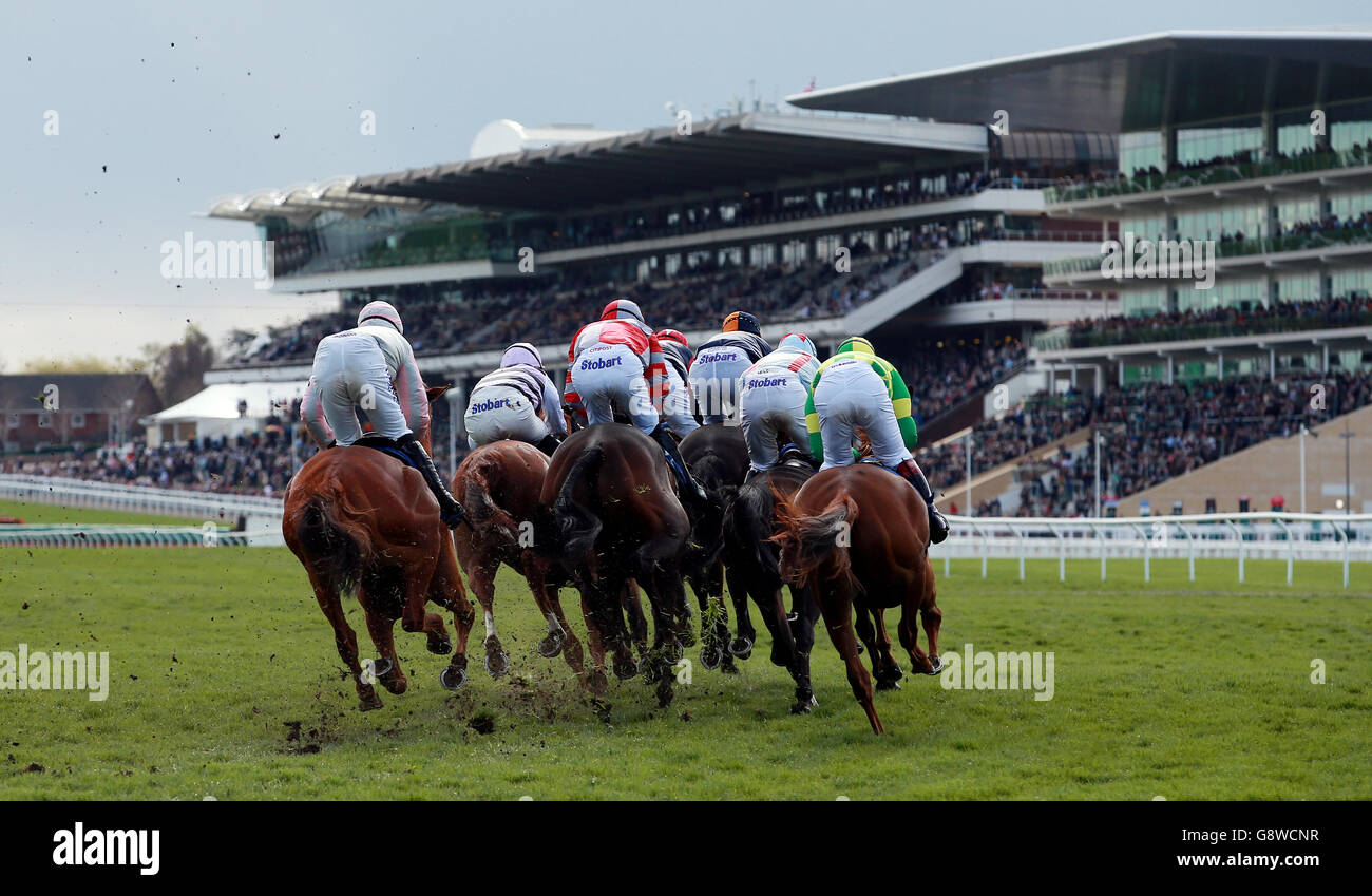 Les coureurs se dirigent vers les tribunes de l'obstacle « confiné » de handicap Messier-Bugatti-Dowty pendant la première journée de la réunion d'avril à l'hippodrome de Cheltenham. Banque D'Images