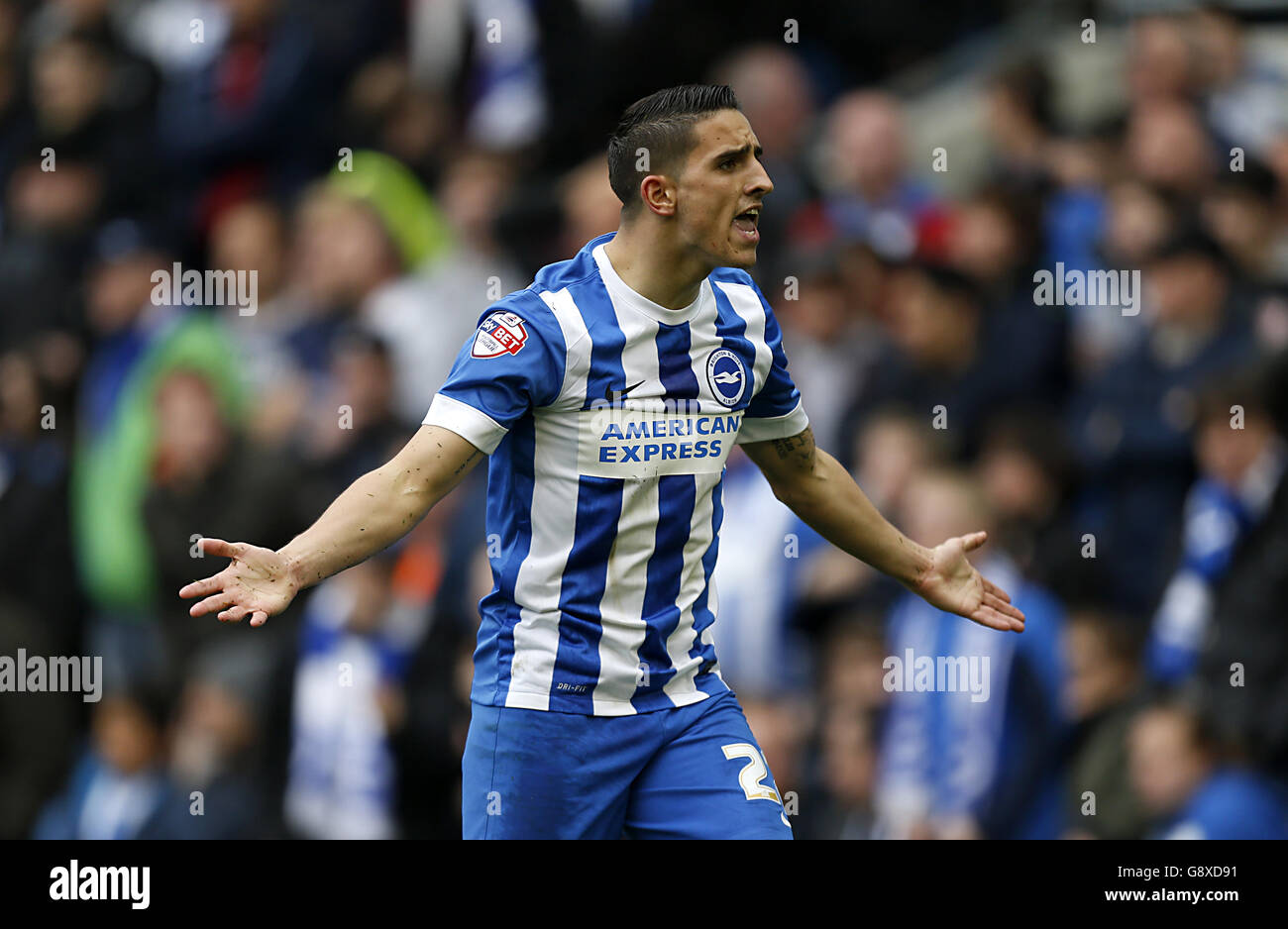 Brighton et Anthony Knockaert, de Hove Albion, questionne la décision des officiels du match lors du match du championnat Sky Bet au stade AMEX de Brighton. Banque D'Images