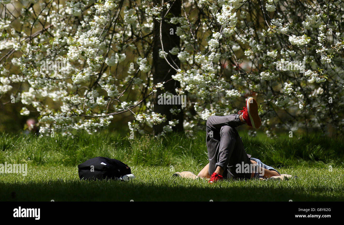 Un homme se détend au soleil à Green Park, Londres, Londres, car la capitale sera plus chaude qu'Ibiza ce week-end. Banque D'Images