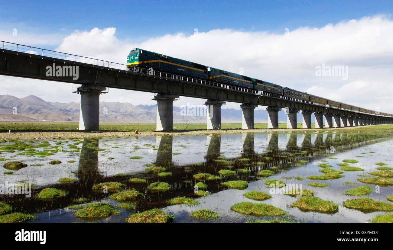 (160630) -- BEIJING, 30 juin 2016 (Xinhua) -- Photo prise le 26 juin 2016 montre un train en marche sur le chemin de fer Qinghai-Tibet à travers une zone humide du nord du Tibet, du sud-ouest de la Chine dans la région autonome du Tibet. Le chemin de fer Qinghai-Tibet tourne sur 10 1er juillet 2016. Les 1 956 kilomètres de chemin de fer, qui a commencé en juillet 2006, est le plus haut et le plus long chemin de fer du plateau et aussi le premier chemin de fer reliant la région autonome du Tibet avec d'autres parties de la Chine. La protection écologique mesures prises pendant et après la construction du chemin de fer ont assuré qu'il a été construit comme un 'rai vert Banque D'Images