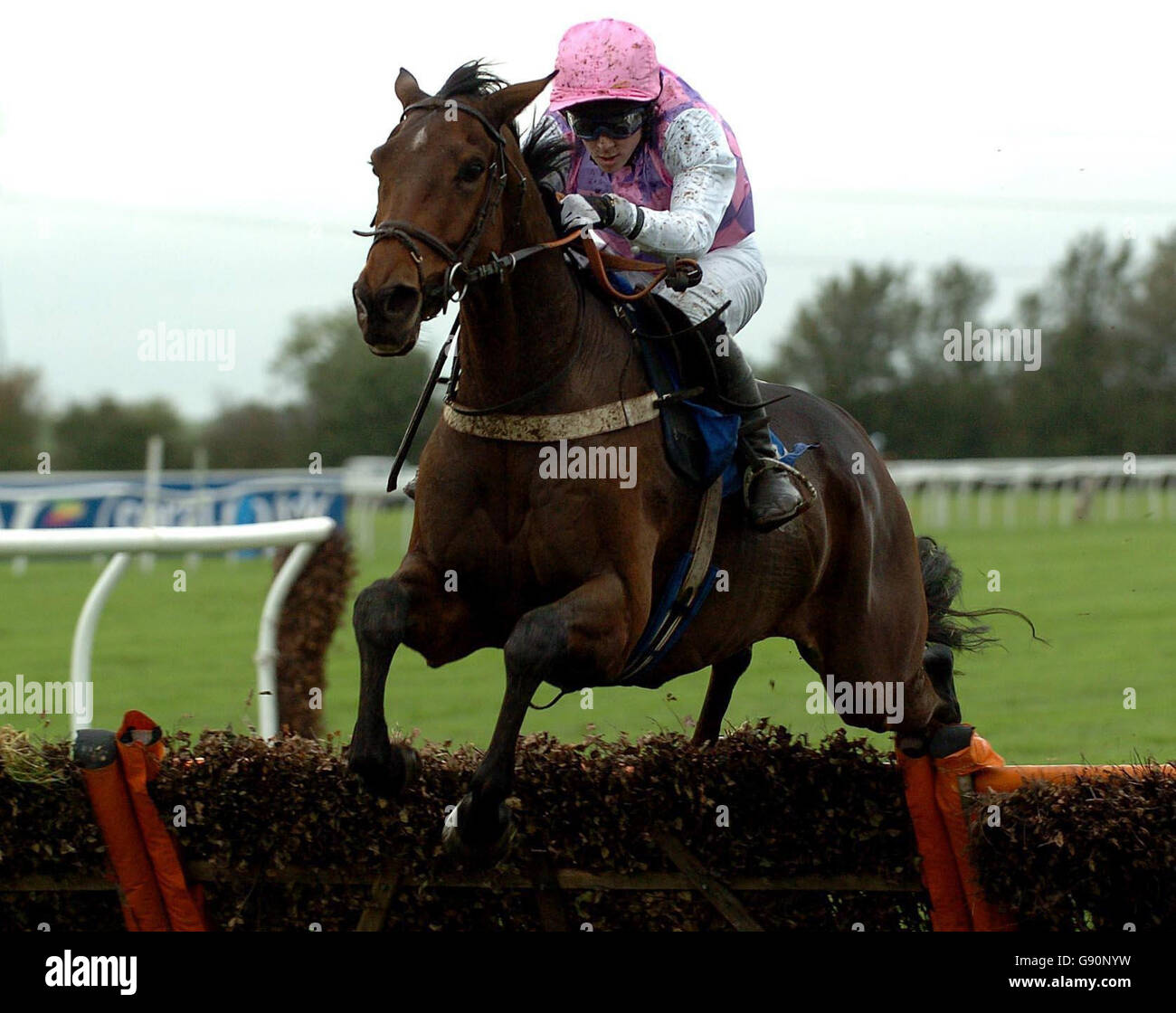 Ungaro, monté par Jim Crowley, remporte l'h20Nationwide « National Hunt » novices » à l'hippodrome de Huntingdon, Brampton, Cambridgeshire, le mercredi 2 novembre 2005. APPUYEZ SUR ASSOCIATION photo. Le crédit photo devrait être Chris Radburn/PA Banque D'Images