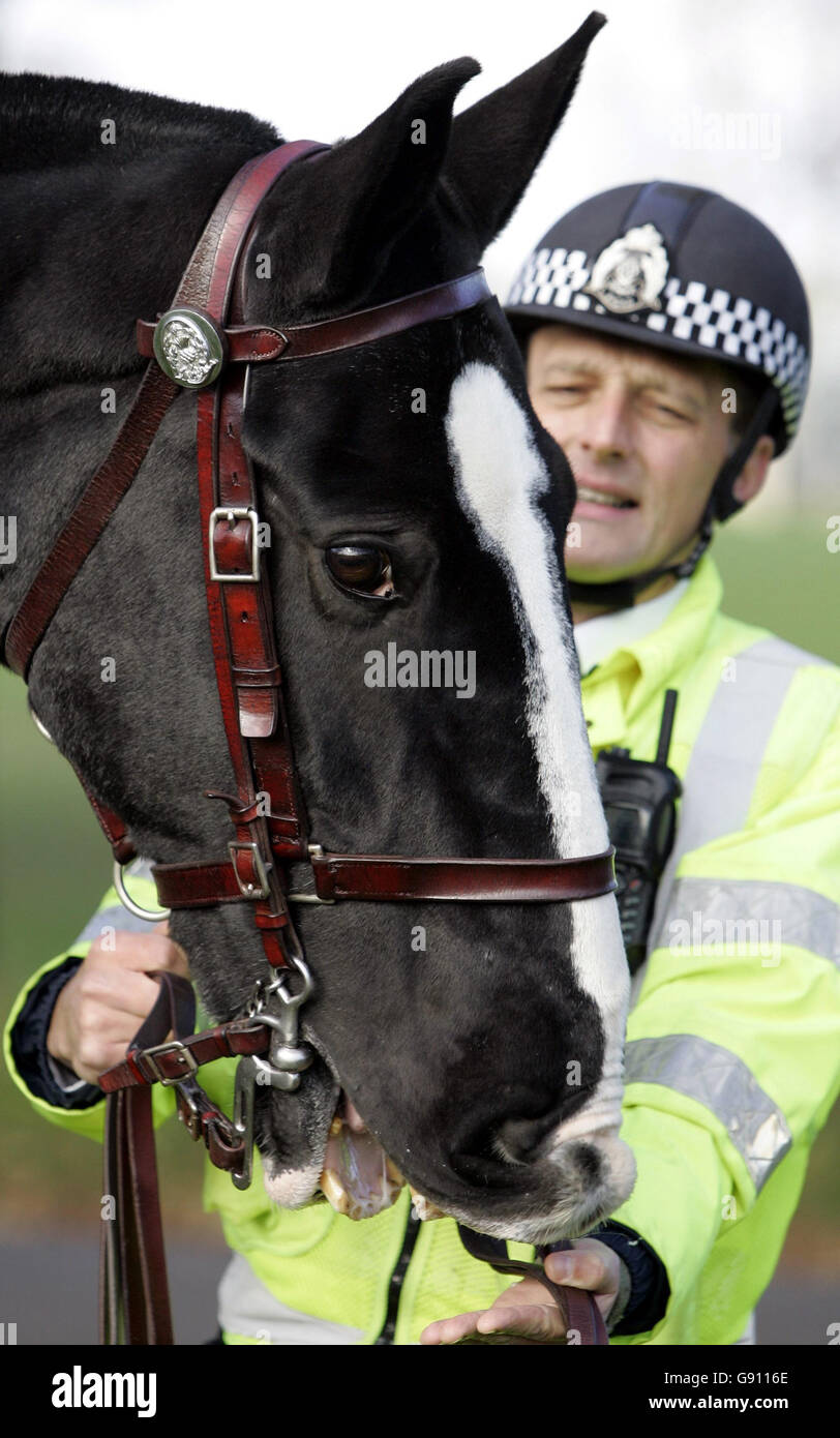 Le meilleur cheval de police de Lothian et Borders police 'Trooper' lors de sa dernière journée de travail comme cheval de police avec son pilote actuel PC Douglas Tait dans Inverleith Park à Édimbourg le mardi 1er novembre 2005.Trooper, qui a maintenant 21 ans, est le plus long cheval de police de la force, ayant rejoint la Section montée il y a environ 16 ans.Voir PA Story SCOTLAND Horse.LE CRÉDIT PHOTO DE L'ASSOCIATION DE LA PRESSE DOIT ÊTRE LU PAR ANDREW MILLIGAN/PA Banque D'Images
