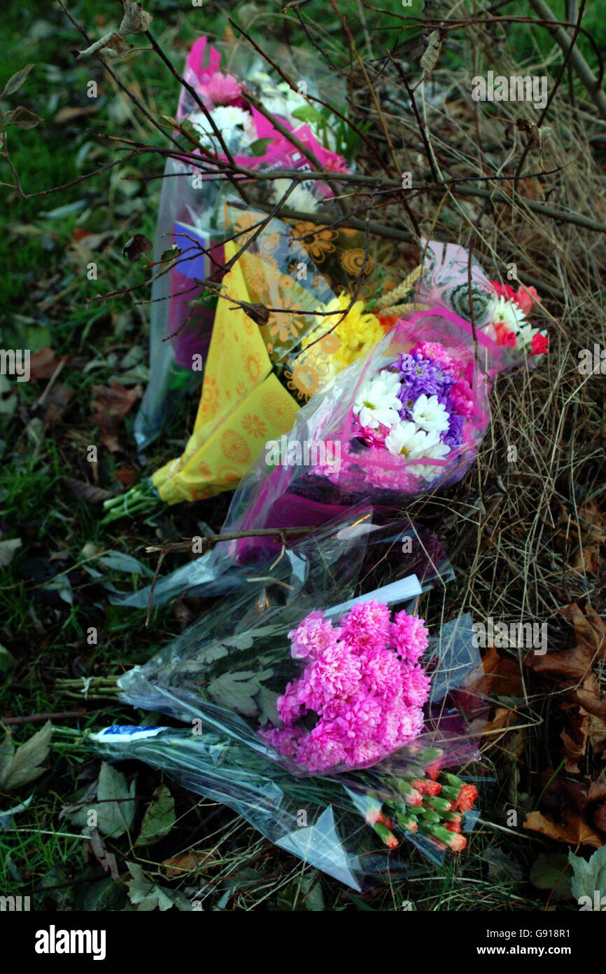 Fleurs laissées sur les lieux d'un accident de la route mortel à Irvine, Ayrshire, dimanche 27 novembre 2005.Une petite fille née après que ses deux parents aient été tués dans l'accident de voiture a également perdu son bref combat pour la vie.Le bébé a été livré lors d'une opération d'urgence après que la voiture de ses parents ait été impliquée dans une collision fatale avec une voiture de police.Voir l'histoire de l'AP, COLLISION DE POLICE.APPUYEZ SUR ASSOCIATION photo.Le crédit photo devrait se lire comme suit : PA Banque D'Images