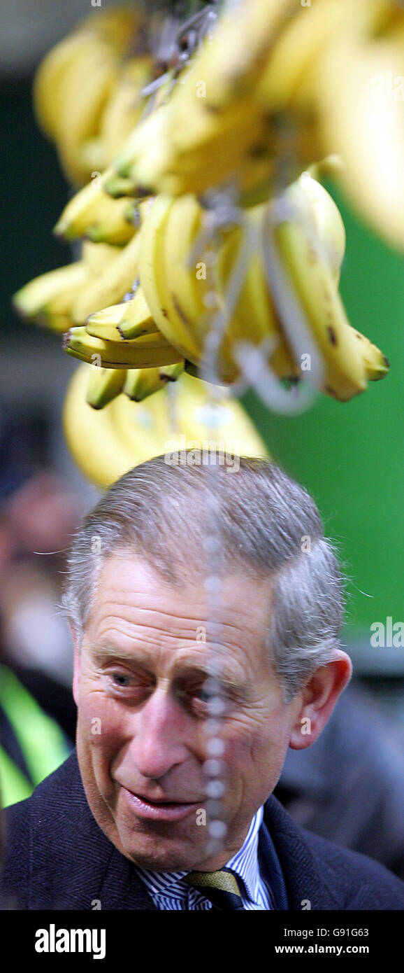 Le Prince de Galles lors d'une visite au marché de Borough dans le centre de Londres, le vendredi 25 novembre 2005. Voir PA Story ROYAL Market. APPUYEZ SUR ASSOCIATION photo. Le crédit photo doit être le suivant : ODD Andersen/PA/WPA Pool/AFP Banque D'Images