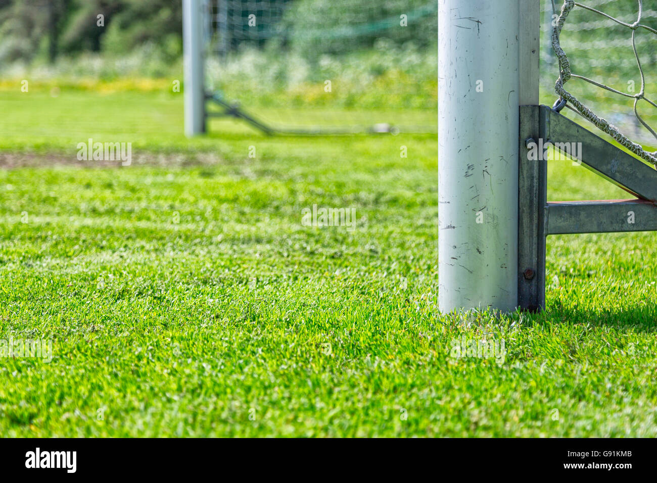 Poteau de but de soccer avec l'herbe verte. Banque D'Images