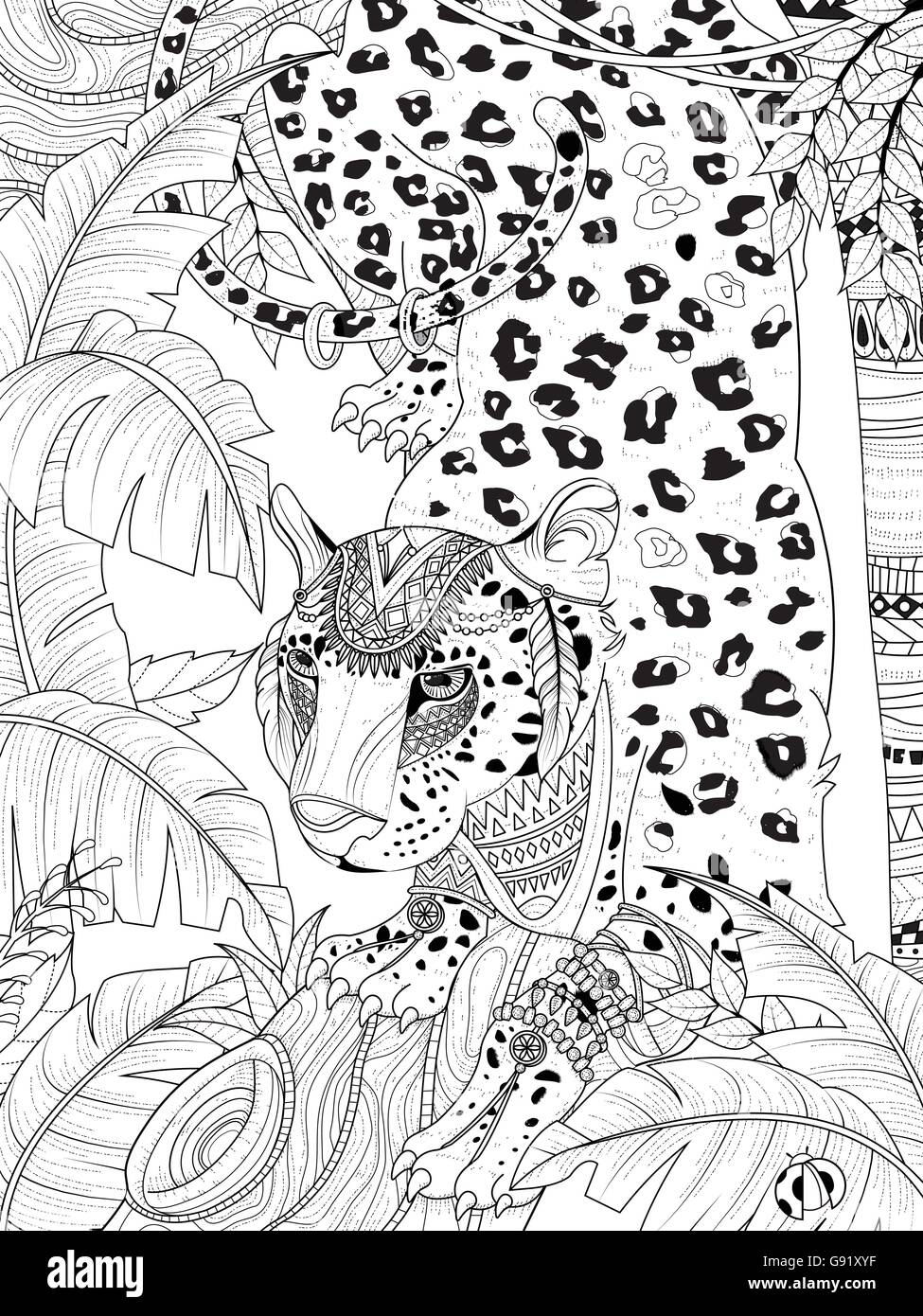 Gorgeous leopard Banque d'images noir et blanc - Alamy