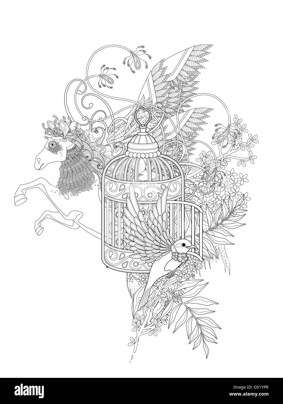 Des oiseaux fantastiques et pegasus coloriage adultes avec des éléments floraux Illustration de Vecteur