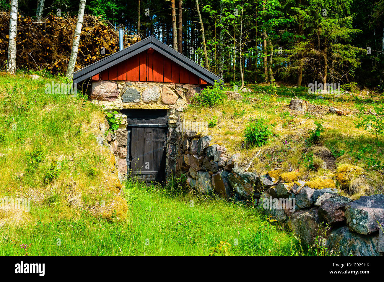 Caveau à proximité de la forêt avec des blocs de pierre menant à l'entrée. Banque D'Images