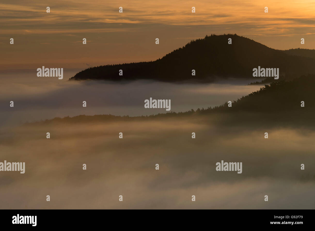 La Forêt du Palatinat, vue depuis les ruines du château Lindelbrunn, Dahner Felsenland, Rhénanie-Palatinat, Allemagne Banque D'Images