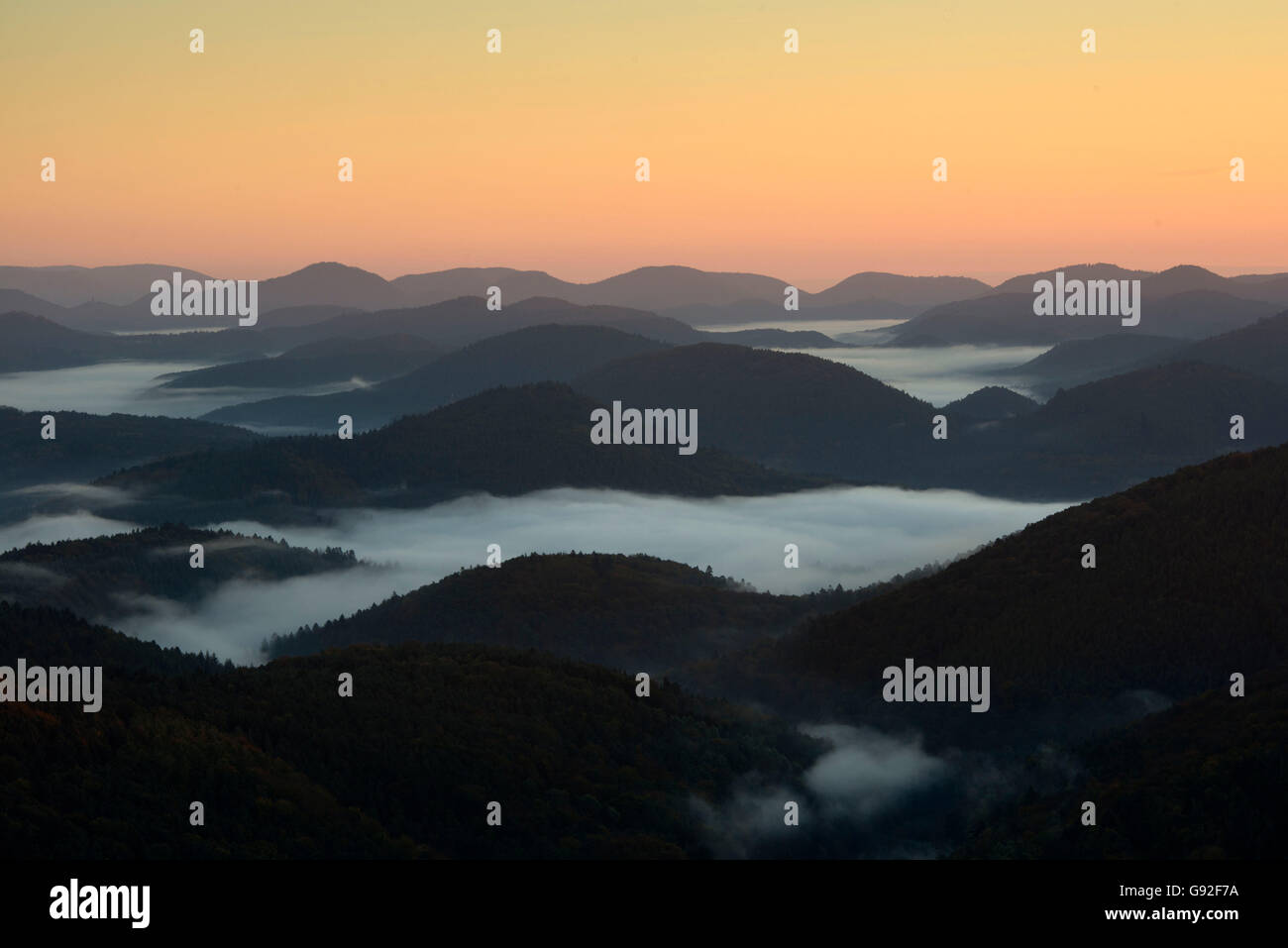 La Forêt du Palatinat, vue depuis les ruines du château Lindelbrunn, Dahner Felsenland, Rhénanie-Palatinat, Allemagne Banque D'Images