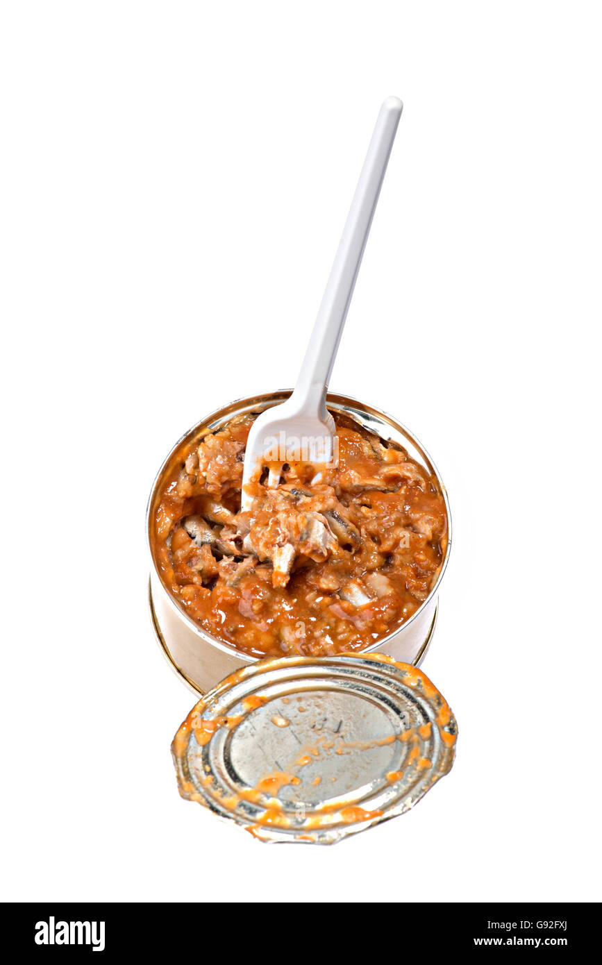Les conserves de poisson en sauce tomate sur fond blanc Banque D'Images