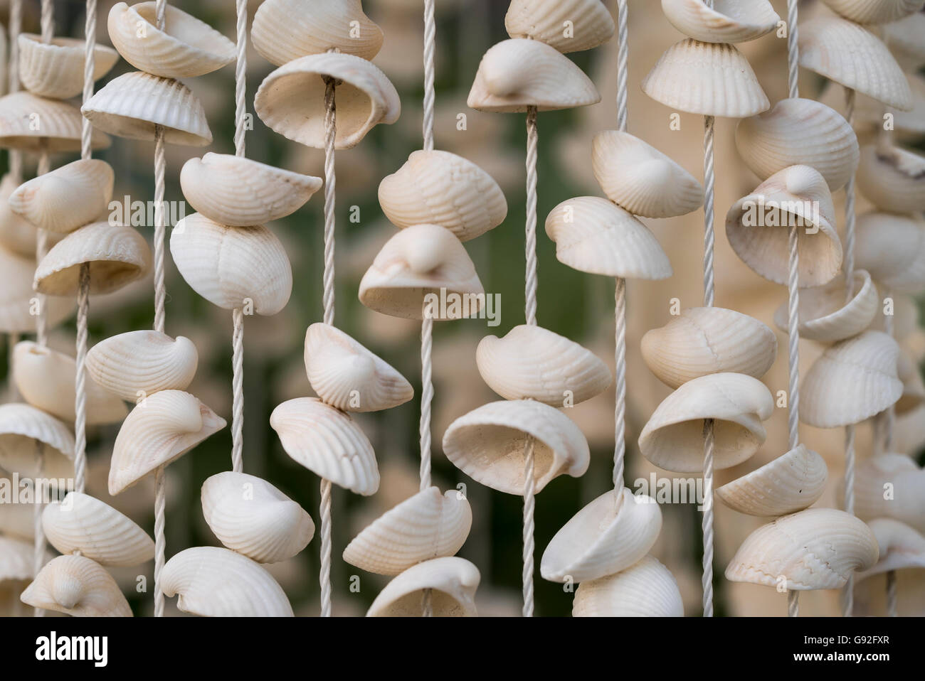 Rideau de coquillages de mer Photo Stock - Alamy