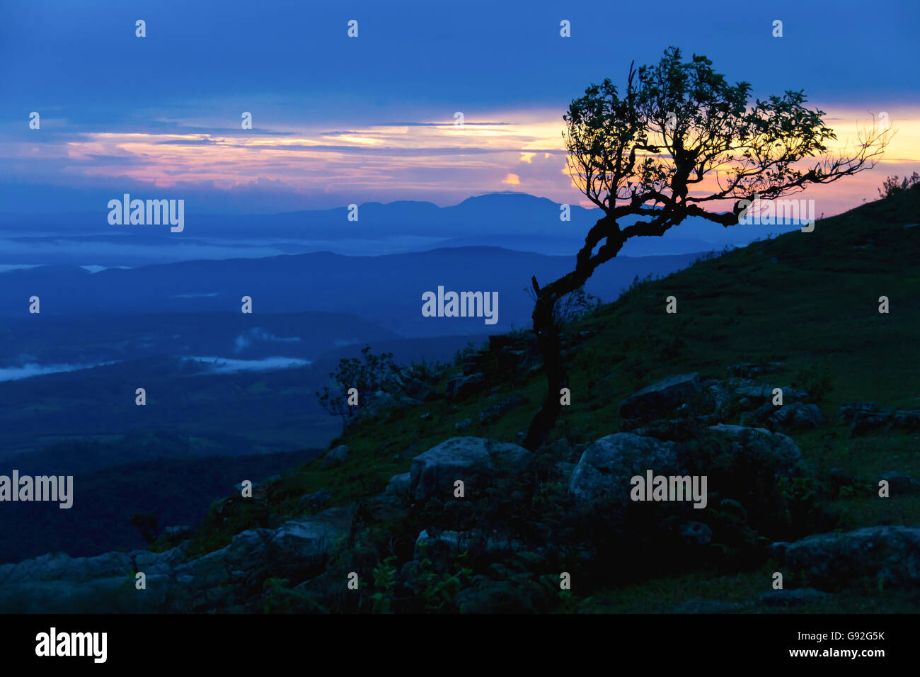 Arbre silhouette sur la haute montagne au coucher du soleil Banque D'Images