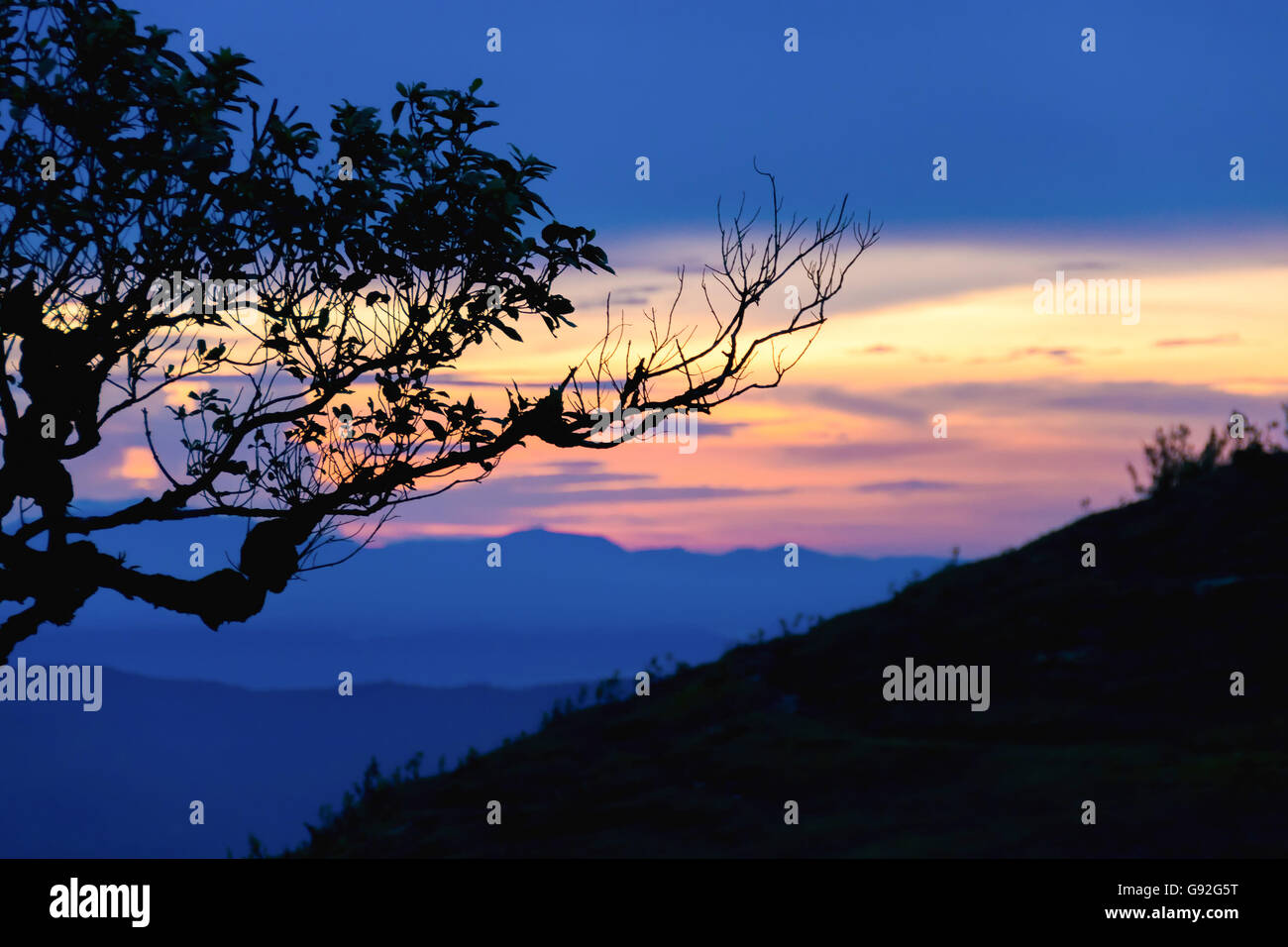 Arbre silhouette sur la haute montagne au coucher du soleil Banque D'Images