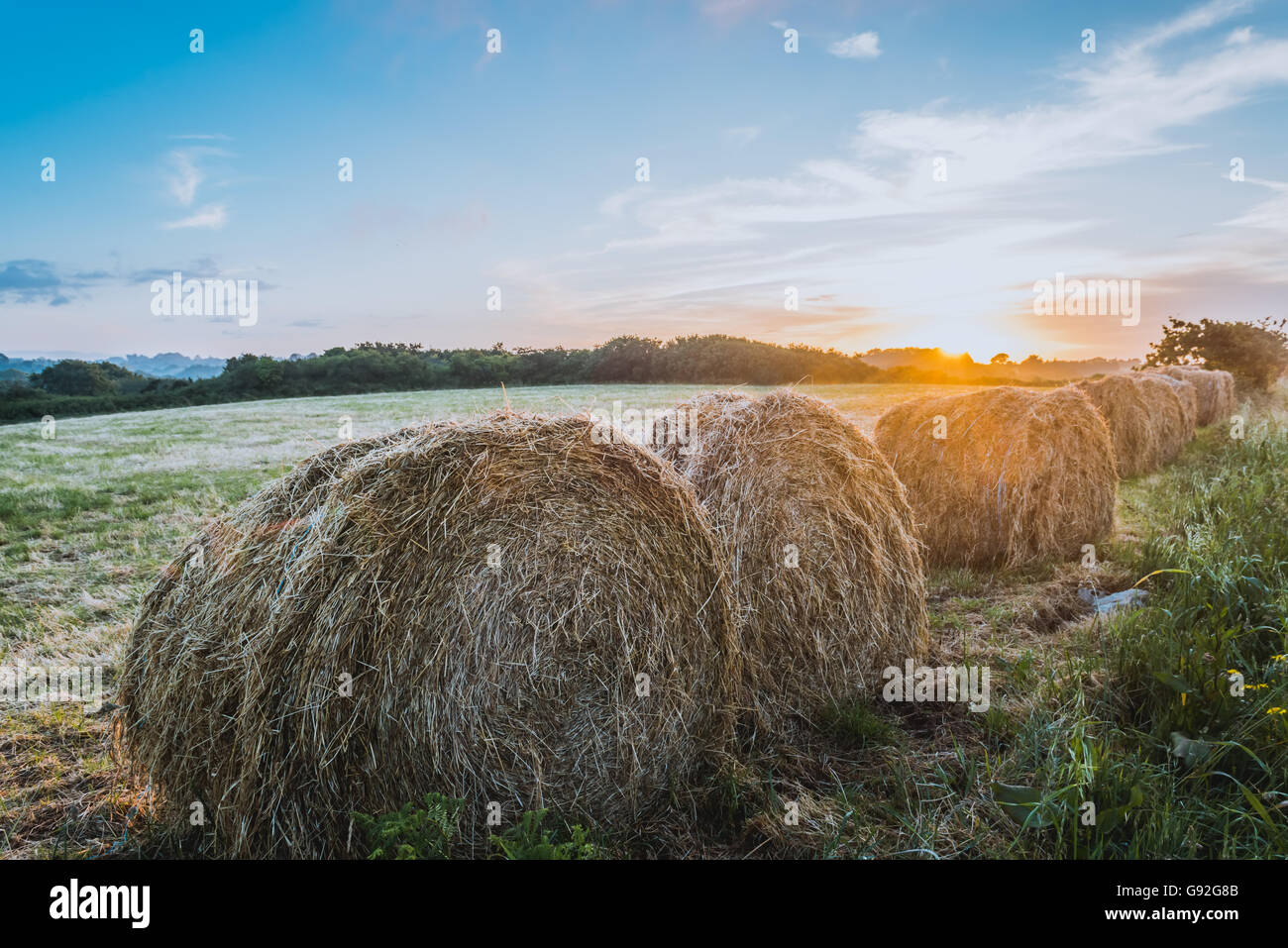 Concept de la récolte de foin sur le terrain au coucher du soleil Banque D'Images