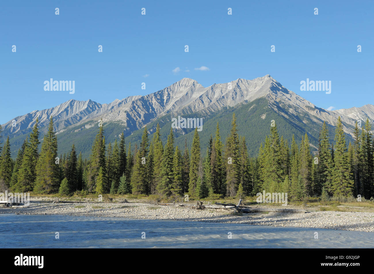 Rivière Kootenay et de montagnes, le parc national de Kootenay, Colombie-Britannique, Canada Banque D'Images