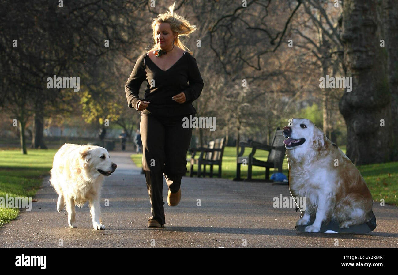 Oakley, le Golden Retriever, et son propriétaire Lisa Deadman de Plymouth, posent avec une coupure de son ancien soi, à Green Park, centre de Londres, le lundi 19 décembre 2005. Le canin récemment réduit a été couronné PDSA 'PET Fit Camp champ', après avoir excrété 7,6 kg en 100 jours. Voir PA Story ANIMAUX gras. APPUYEZ SUR ASSOCIATION photo. Le crédit photo devrait se lire: Chris Young/PA Banque D'Images