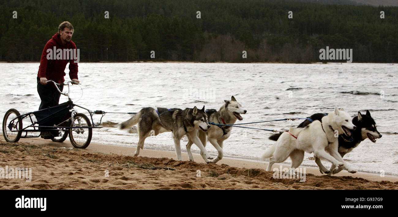 Adrian Nicholls avec son équipe de traîneaux, les Huskateers, sur les rives du Loch Morlich, jeudi 19 janvier 2005, avant cette année 23e rassemblement de chiens de traîneau Aviemore, qui a lieu près d'Aviemore ce week-end. APPUYEZ SUR ASSOCIATION PHOTO. Le crédit photo devrait se lire : Andrew Milligan/PA Banque D'Images