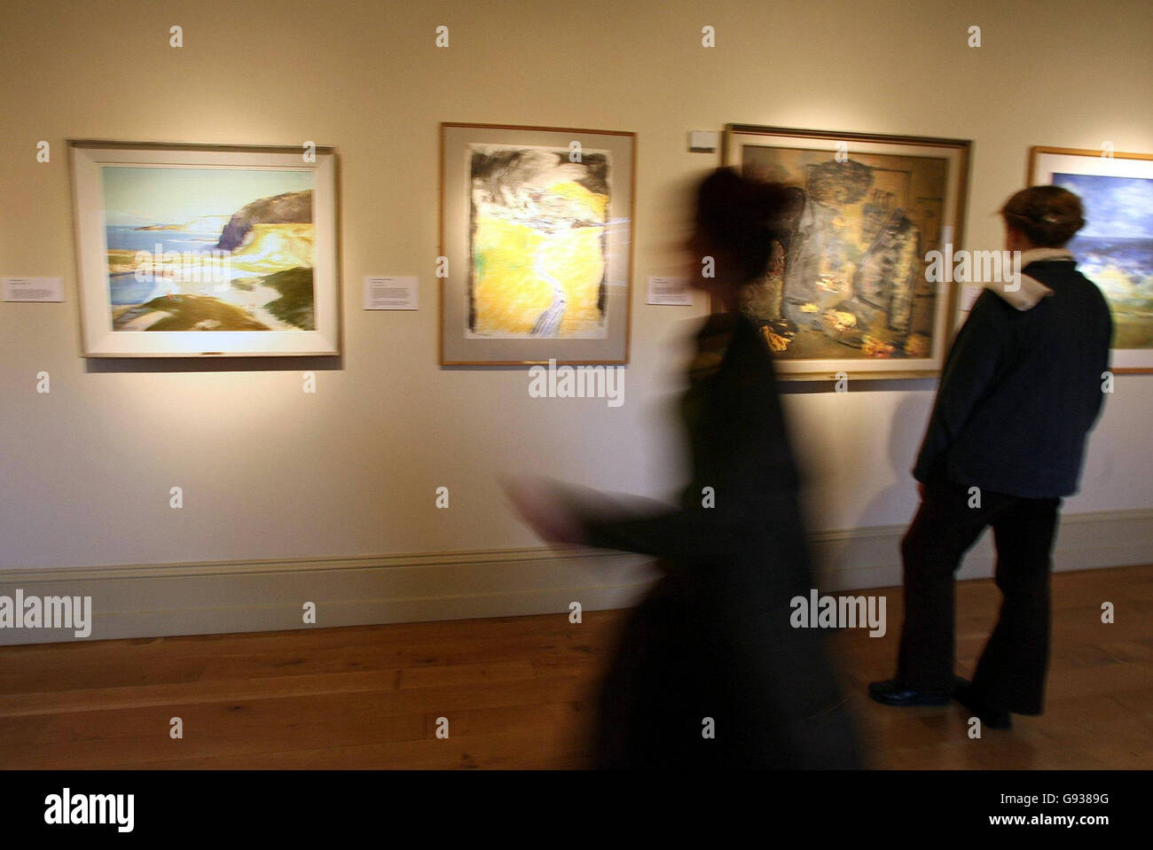 La collection d'œuvres d'art Ulster Television (UTV) est diffusée à la Naughton Gallery de l'Université Queen's de Belfast, le jeudi 12 janvier 2006. La sélection de 40 peintures, gravures et dessins de la célèbre collection d'artistes irlandais d'UTV est maintenant l'une des plus grandes collections d'entreprise d'Irlande, avec plus de 250 pièces, et sera en spectacle jusqu'au samedi 18 février. APPUYEZ SUR ASSOCIATION photo. Le crédit photo devrait se lire: Paul Faith/PA. Banque D'Images